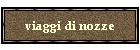 viaggi di nozze